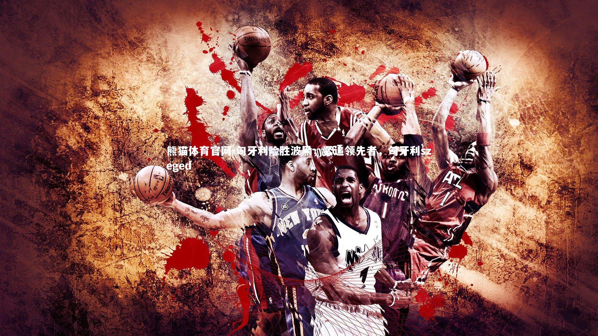 熊猫体育官网-匈牙利险胜波黑，紧追领先者，匈牙利szeged