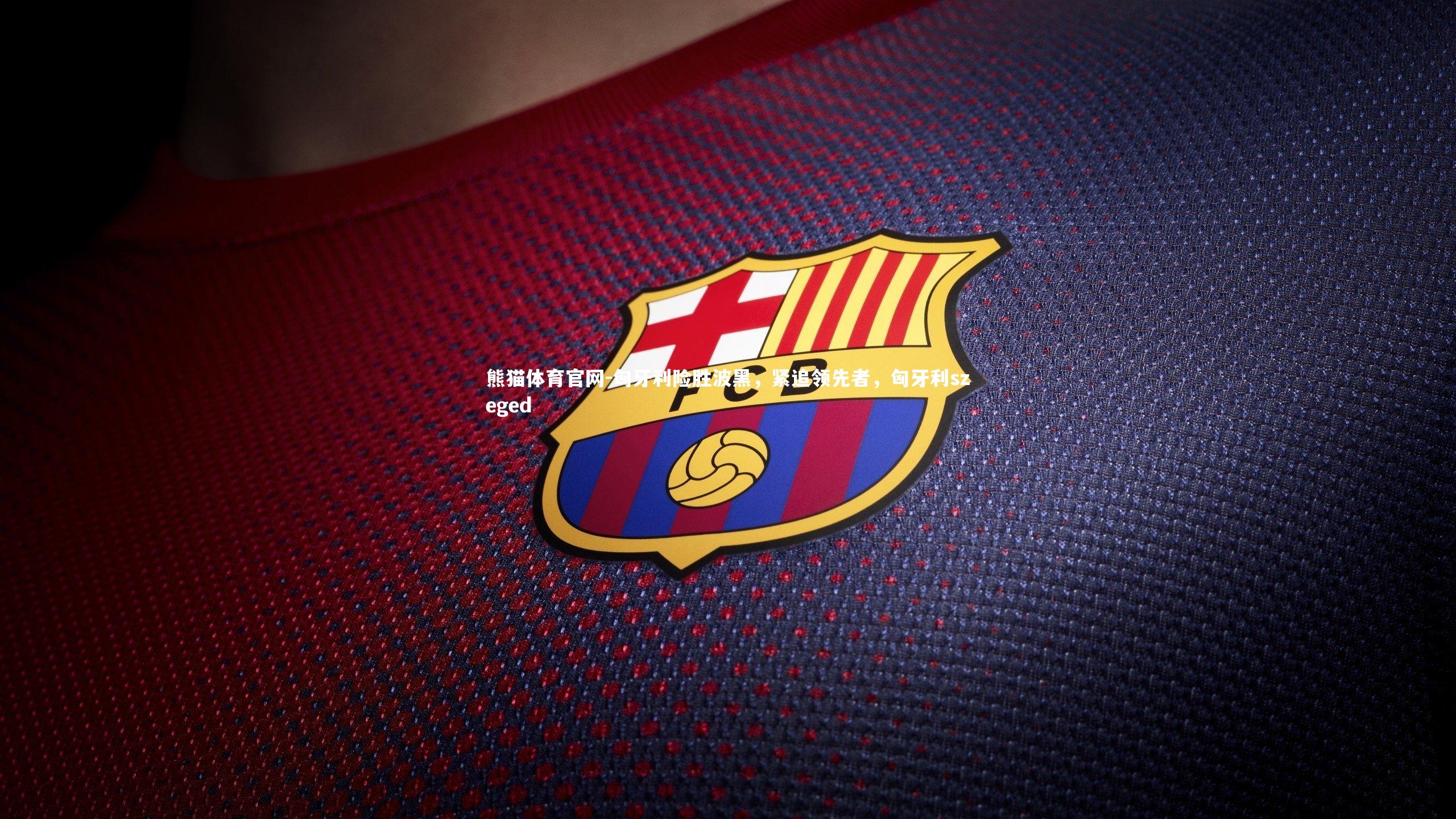 匈牙利险胜波黑，紧追领先者，匈牙利szeged