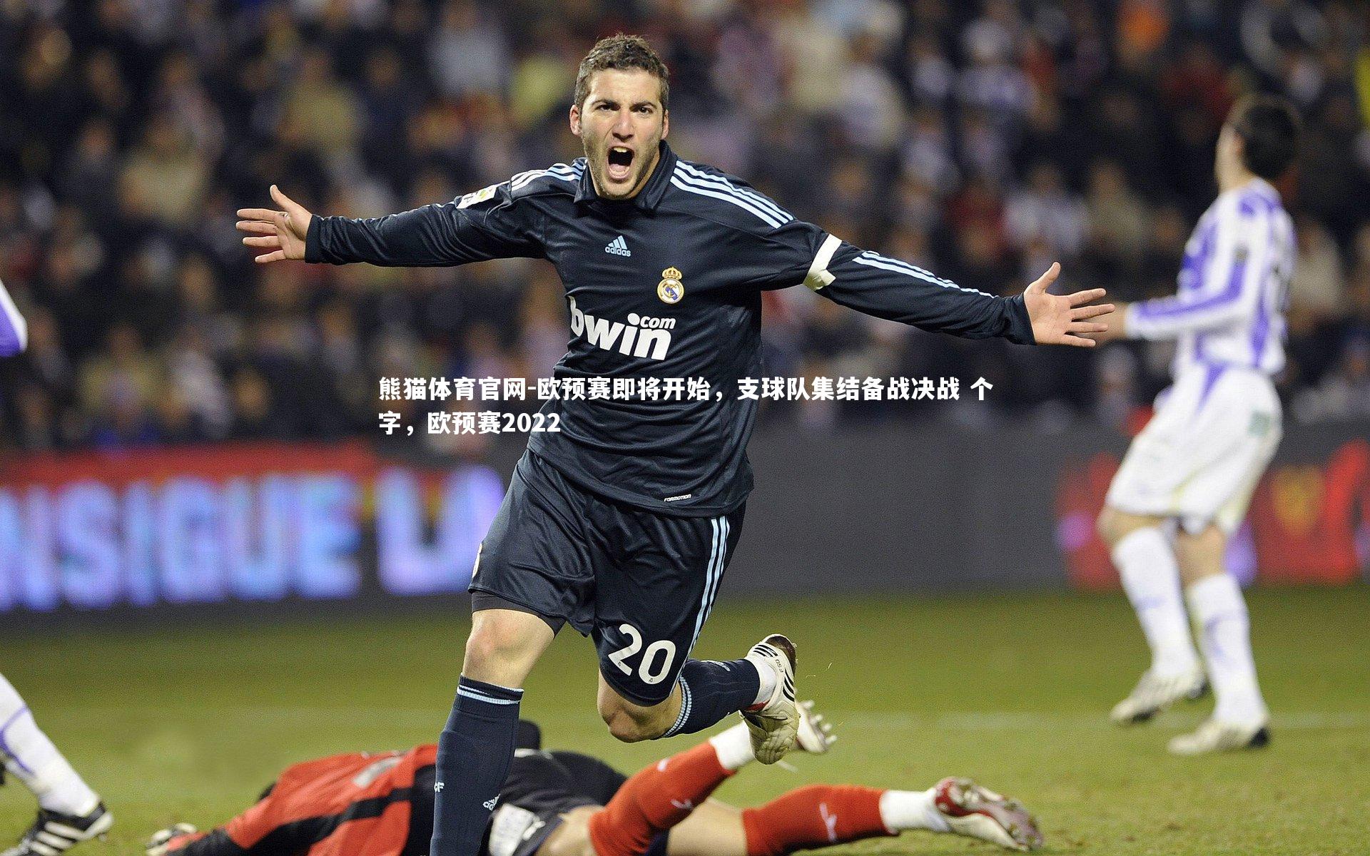 熊猫体育官网-欧预赛即将开始，支球队集结备战决战 个字，欧预赛2022