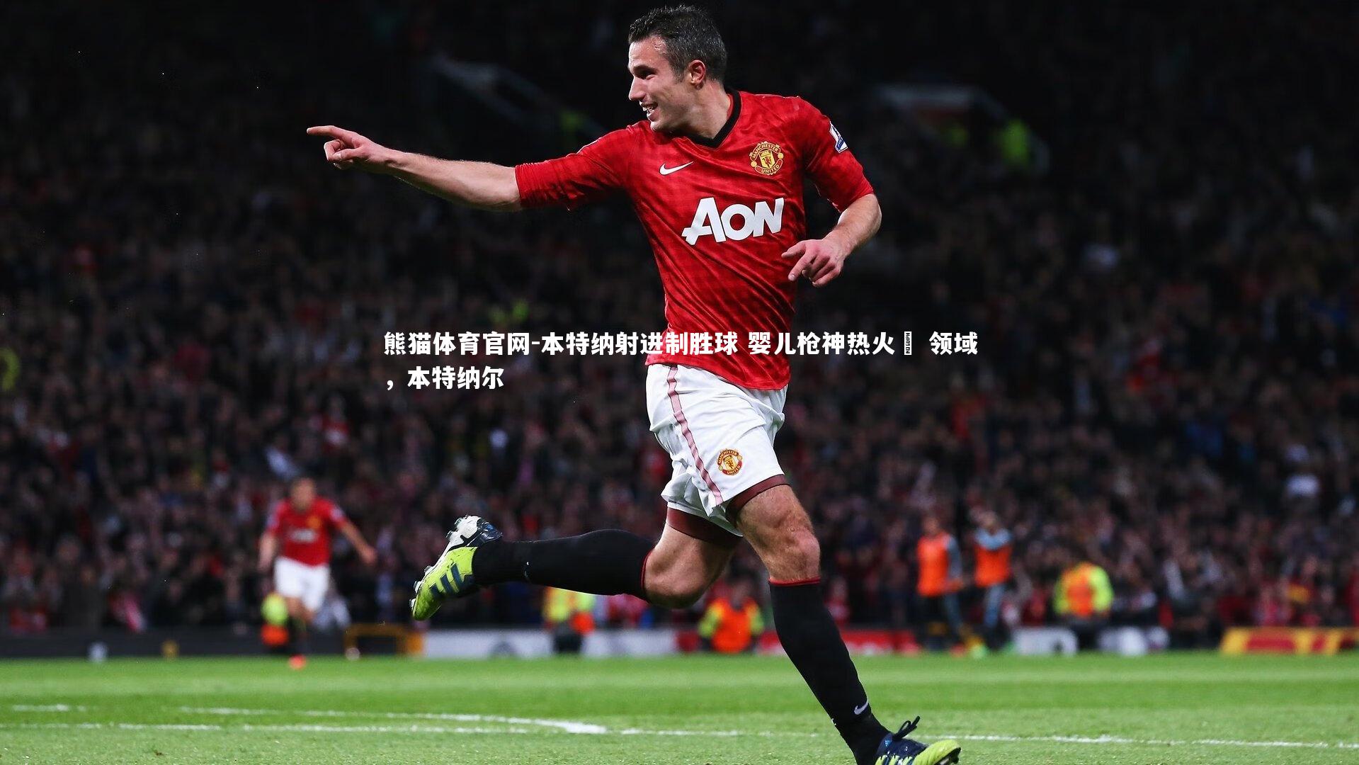 本特纳射进制胜球 婴儿枪神热火洩 领域，本特纳尔