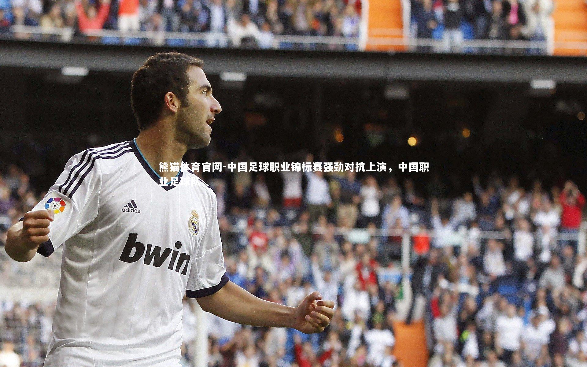 熊猫体育官网-中国足球职业锦标赛强劲对抗上演，中国职业足球队
