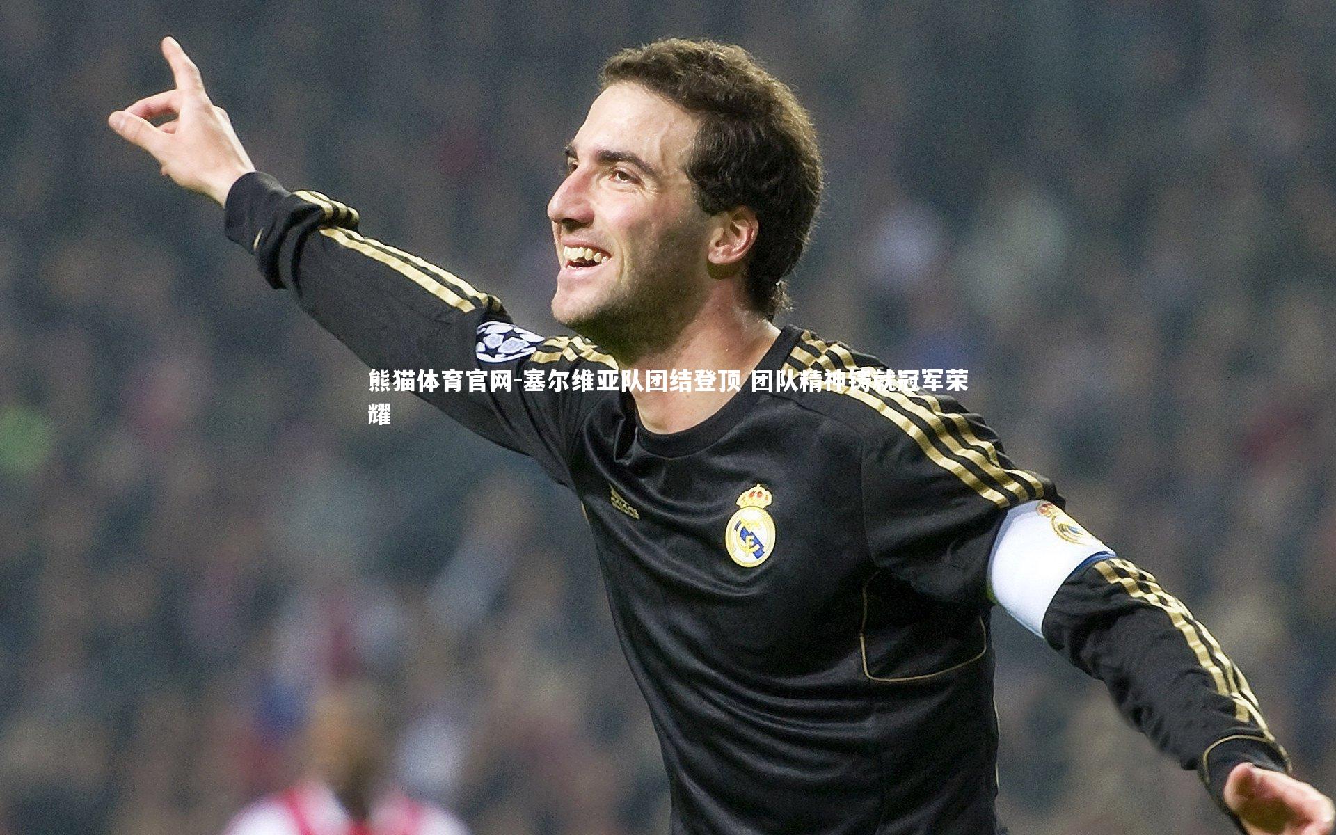 塞尔维亚队团结登顶 团队精神铸就冠军荣耀