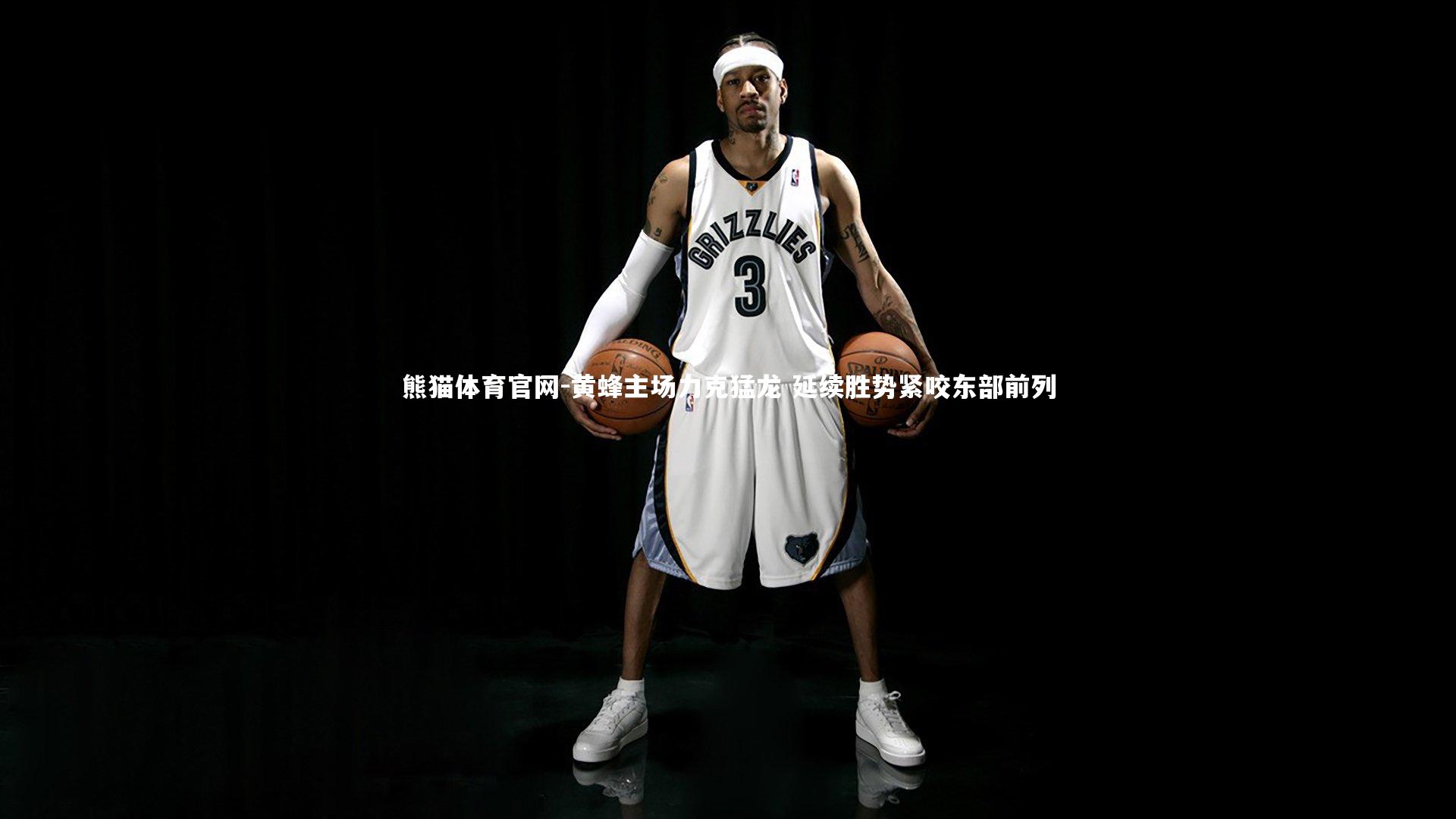 黄蜂主场力克猛龙 延续胜势紧咬东部前列