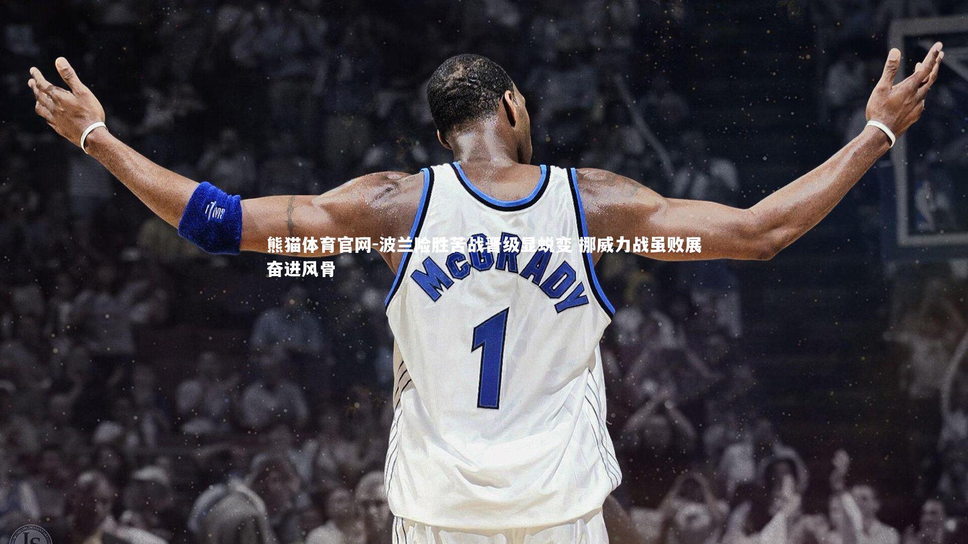 熊猫体育官网-波兰险胜苦战晋级显蜕变 挪威力战虽败展奋进风骨