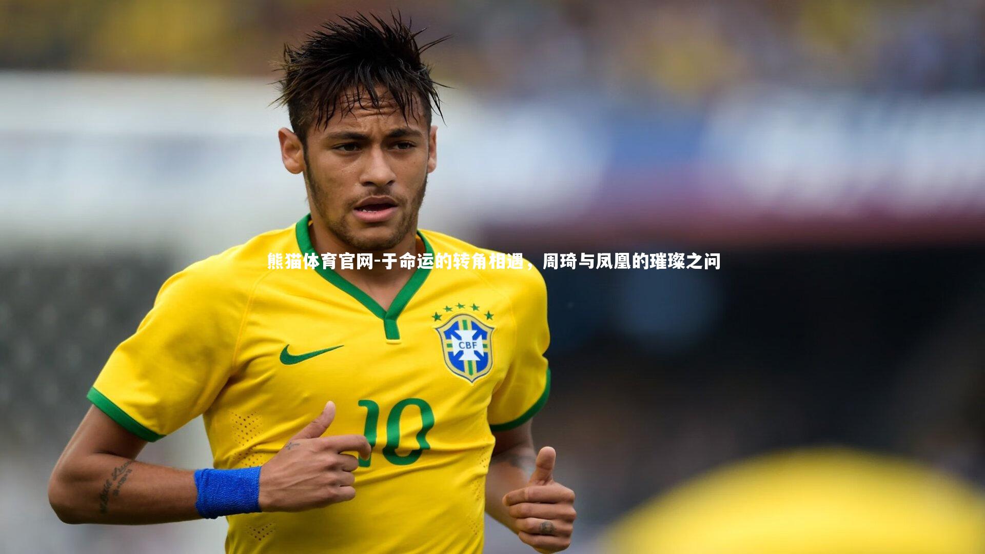 于命运的转角相遇，周琦与凤凰的璀璨之问